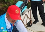 米兰体育-阿尔艾因攻防火力全开，防守迎挑战的简单介绍