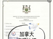 米兰体育-关于计递情：加拿大暗流湍急，湖人恒强的信息