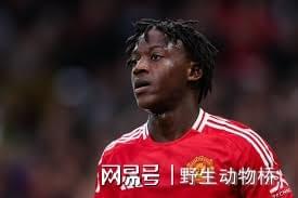 罗马新星首秀狂轰四球，弗格森开启意甲梦想之旅