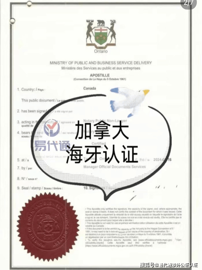 关于计递情：加拿大暗流湍急，湖人恒强的信息