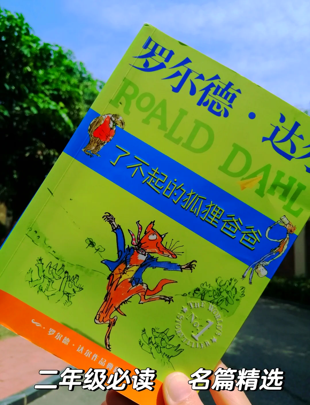 蒂格：布克是个聪明的家伙，他这辈子都会在太阳了的简单介绍